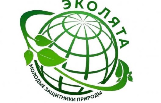 Всероссийский онлайн - урок"Эколята".
